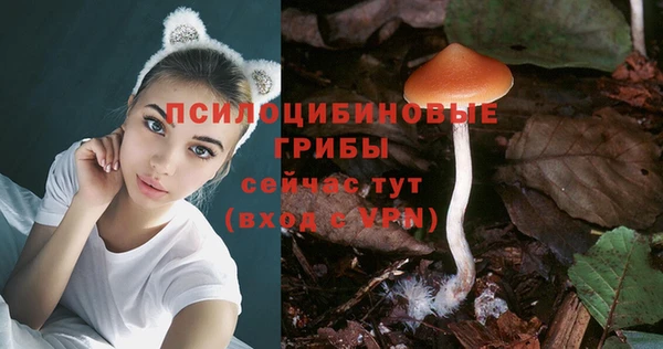 Альфа ПВП Алексеевка