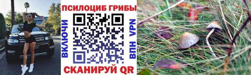 Галлюциногенные грибы Cubensis  blacksprut рабочий сайт  Печоры 
